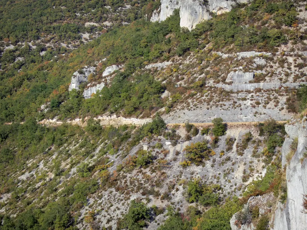 De kloof van de Aveyron - Kloof van de Aveyron: Rotswanden en vegetatie