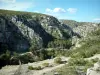 De Kreken - Bos Calanques