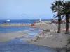 Kust Vermeille - Bekijk op de vuurtoren van Banyuls-sur-Mer en de Middellandse Zee, palmbomen op de voorgrond