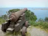 Kust Vermeille - Canon op de voorgrond met uitzicht op de vuurtoren in Port-Vendres en de Middellandse Zee