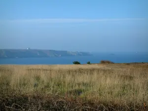 Küstengebiet der Bretagne - Weizenfeld mit Meer (Atlantik) und Küste (Steilküsten) in der Ferne