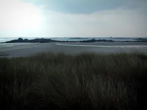 Küstengebiet der Bretagne - Wild wachsende Gräser, Strand und zerklüftete Küste in der Ferne