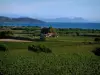 Küstengebiet der Côte d'Azur - Weinanbau (Weinanbaugebiet der Côtes de Provence), Kiefern (Bäume), Häuser, Kiefernwald, Mittelmeer, Hügel des Massivs Maures und Massiv Estérel in der Ferne