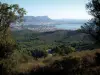 Küstengebiet der Côte d'Azur - Von der Halbinsel Cap Sicié aus, Blick auf die Bäume, den Wald von Janas, La Seyne-sur-Mer, das Mittelmeer, die Hafenbucht von Toulon, die Stadt Toulon und die Hügel