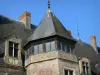 La Palice城堡 - 城堡的天窗和楼梯塔;在Lapalisse