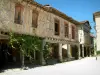 Labastide-d'Armagnac - Oude huizen met houten zijkanten op het Koningsplein
