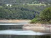 Lac du barrage de Sarrans - Retenue d'eau et ses rives boisées ; dans le Carladez