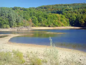 Lac du Crescent - Parc Naturel Régional du Morvan : plan d'eau entouré de verdure