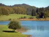 Lac Genin - Lac, prairies, arbres et forêt ; dans le massif du Jura (Haut-Bugey), sur les communes de Charix, d'Échallon et d'Oyonnax