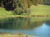 Lac Genin - Lac entouré de prairies et d'arbres ; dans le massif du Jura (Haut-Bugey), sur les communes de Charix, d'Échallon et d'Oyonnax