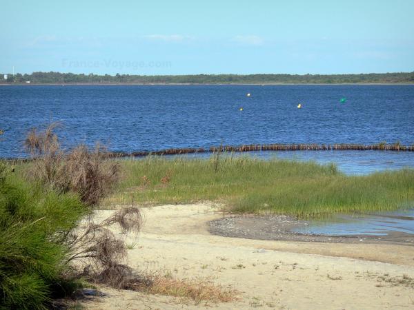 lac hourtin carcans 28755_w600