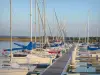 Lac de Madine - Port de Nonsard et ses bateaux amarrés