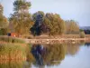 Lac de Madine - Lac et ses abords arborés