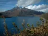 Lac du Mont-Cenis - Plantes alpines en premier plan, lac (retenue d'eau), montagne au sommet enneigé et nuages dans le ciel bleu, en Haute-Maurienne (zone périphérique du Parc National de la Vanoise)