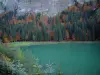 Lac de Montriond - Arbres et sapins en premier plan, lac couleur émeraude, forêt en automne et falaise, dans le Haut-Chablais