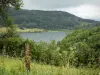 Lac de Narlay - Plan d'eau, arbres, forêt, clôture en premier plan