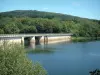 Lac de la Raviège - Arbre en premier plan, lac, barrage et forêt (Parc Naturel Régional du Haut-Languedoc)