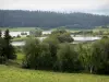 Le lac de Remoray - Guide tourisme, vacances & week-end dans le Doubs