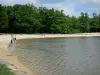 Lac de Sillé - Sillé Plage, sur la commune de Sillé-le-Guillaume, dans le Parc Naturel Régional Normandie-Maine : plan d'eau, plage de sable et arbres de la forêt de Sillé