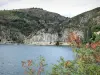 Lac de Villefort - Retenue d'eau (lac artificiel), barrage de Villefort, montagnes, et branches d'un arbre en premier plan ; dans le Parc National des Cévennes