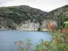 Lac de Villefort