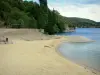 Lac de Villefort - Plage de sable, retenue d'eau, et arbres au bord de l'eau