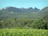 Laço de Montmirail - Videiras, árvores e maciço com suas agulhas (picos)