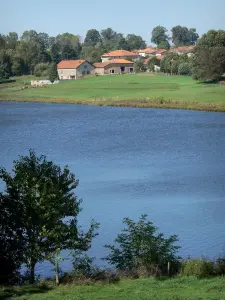 Lacs de Haute-Charente - Lac de Mas Chaban, rives, prairies, maisons et arbres