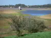 Lacs de Haute-Charente - Barrage de Lavaud, rives et arbres