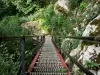 Ladders of Death - Iron ladder, cliff, shrubs and hiking trail; in the Doubs gorges