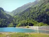 Lago de Bious-Artigues - Presa del lago, el bosque y la montaña de los Pirineos en el Parque Nacional de los Pirineos