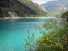 Lago Chaudanne - Arbustos em flor no primeiro plano, captação de água esmeralda, margens e montanhas; no Parque Natural Regional de Verdon