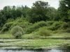 Lago Der-Chantecoq - Lago Der e banco verde