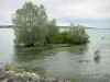 Lago Der-Chantecoq - Lago Der e árvores na água