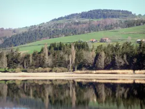 Lago de Issarlès - Verde colina con vistas al mar