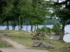 Lago de los Settons - Banco con mesas de picnic, y los árboles en el borde del agua, en el Parque Natural Regional de Morvan