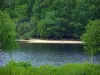 Lago de Vassivière - Lago artificial, la playa y los árboles