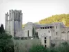 Lagrasse - Abbaye Sainte-Marie d'Orbieu en de klokkentoren