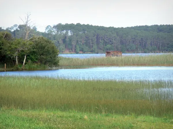 Lake Aureilhan - Tourism, holidays & weekends guide in the Landes