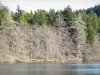 Lake Bouchet - Lago de origem vulcânica em ambiente arborizado
