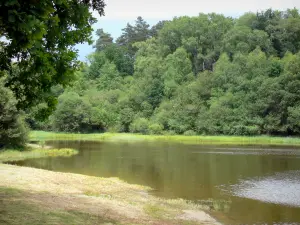Lake Feyt - Corpo d'água em um ambiente verde e preservado