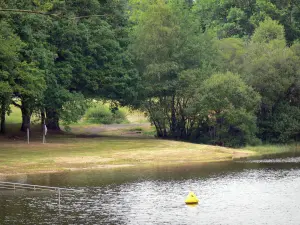 Lake Feyt - Árvores à beira da água