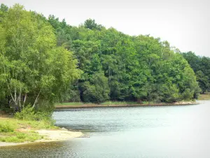 Lake Feyt - Corpo de água rodeado de árvores
