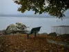 Lake Geneva - Ramos de uma árvore, folhas mortas, banco, utensílio de pesca, pedras e lago