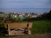 Lake Geneva - Banco com vista para a cidade termal de Evian-les-Bains, o lago e a costa suíça