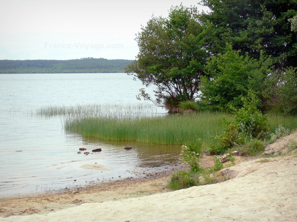 Photos Lake Léon and the River Huchet Tourism & Holiday Guide