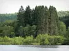 Lake St. Agnan - Lago artificial e sua costa arborizada; no Parque Natural Regional do Morvan