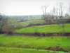 Land van Bray - Groene weiden en bomen