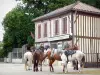 Guia de Landes - Levignacq - Cavalos em uma caminhada parando em frente a uma casa de enxaimel na aldeia de Lévignacq