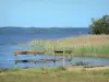 Guia de Landes - Paisagens do Landes - Vista da lagoa de Biscarrosse e Parentis de Parentis-en-Born